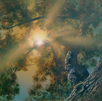 Andie's Oak