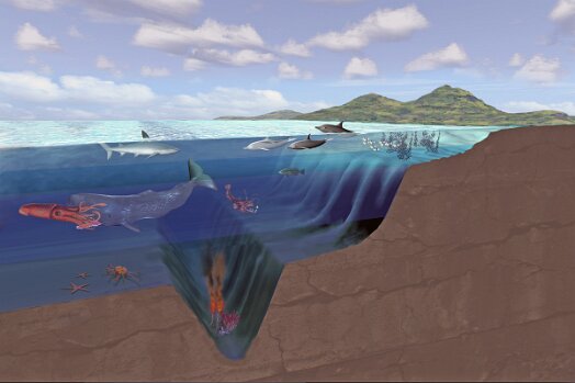 Ocean Layers